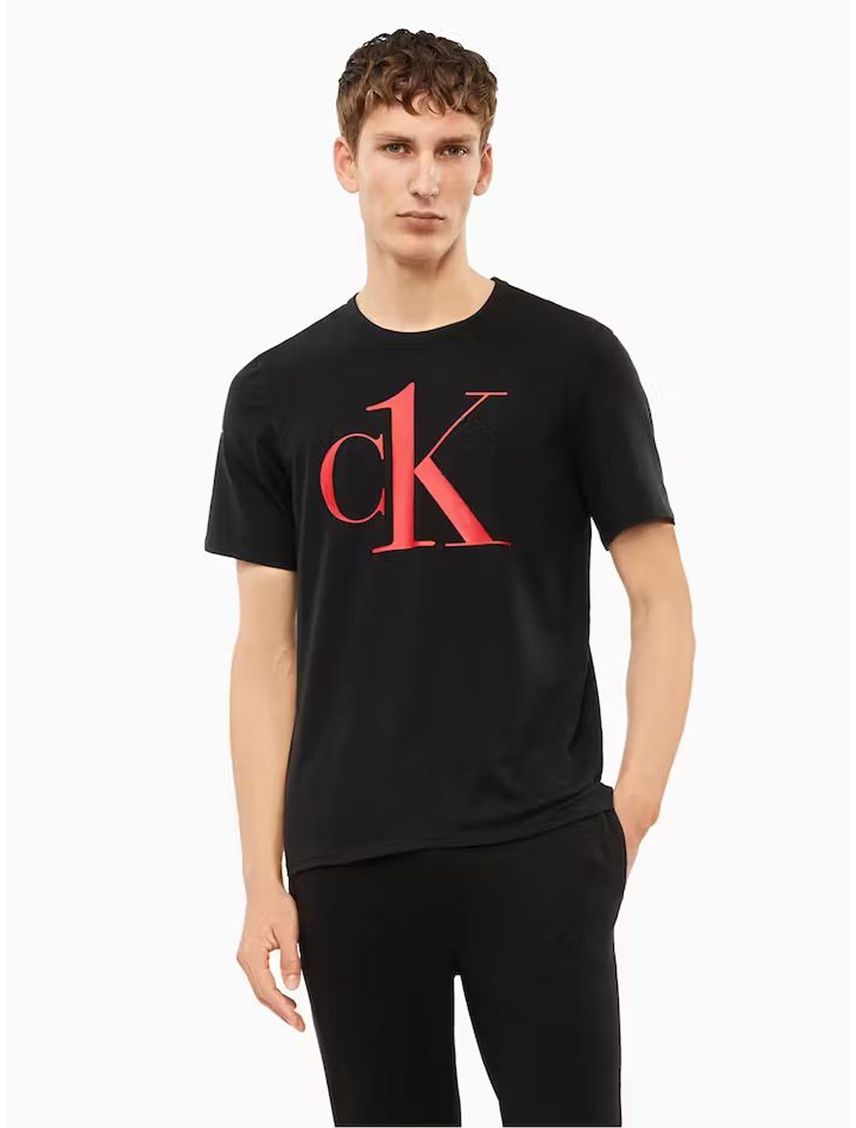 Remera Con Logo Grande