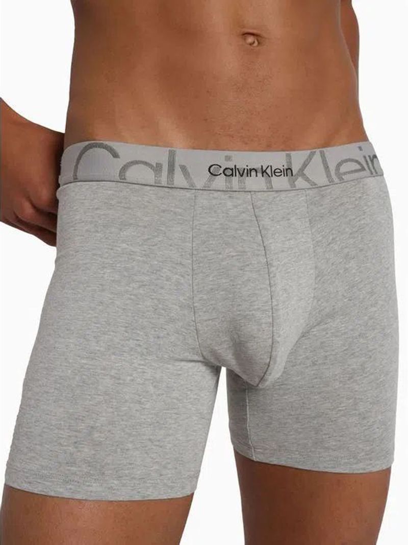 Boxer-brief-largo