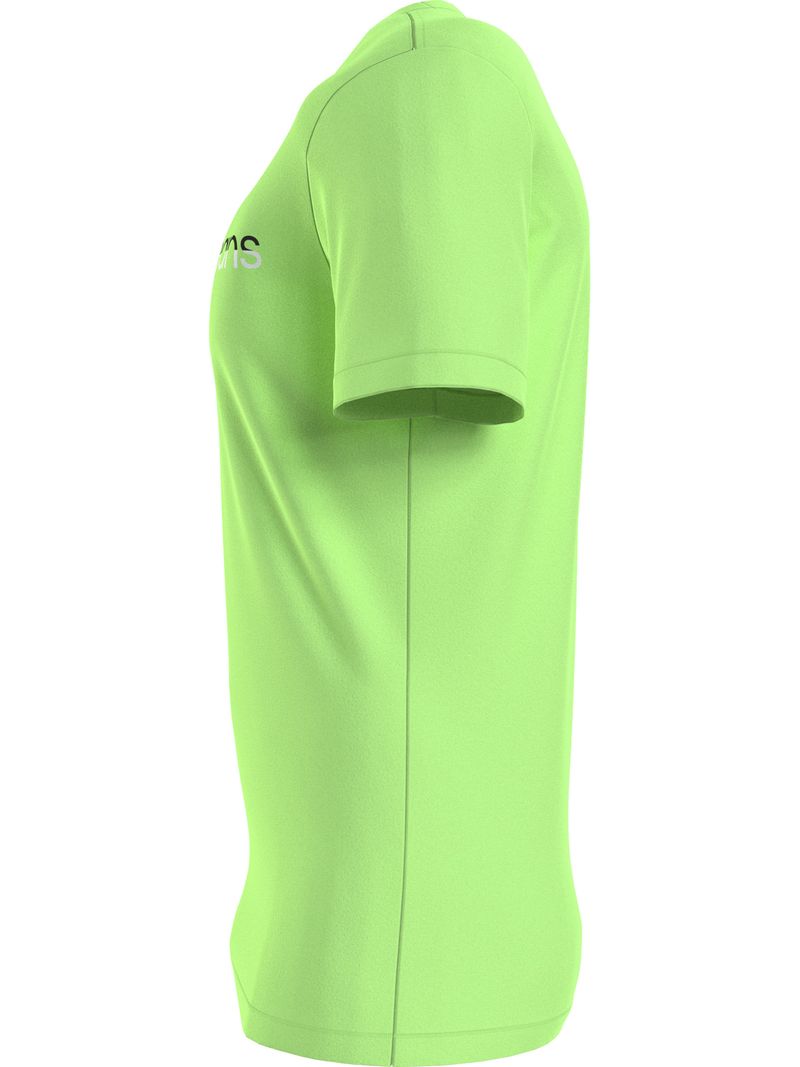 Remera-de-institucional-mixta