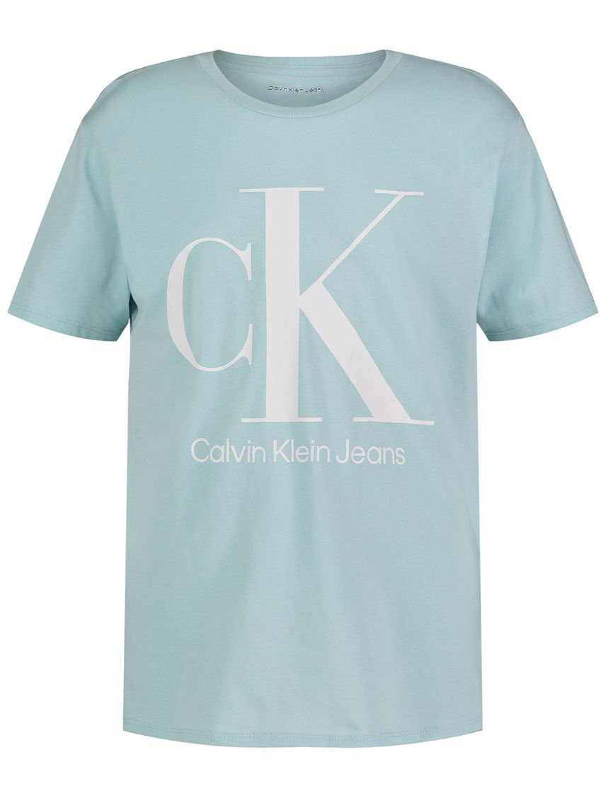 Remera para niño big logo de manga corta