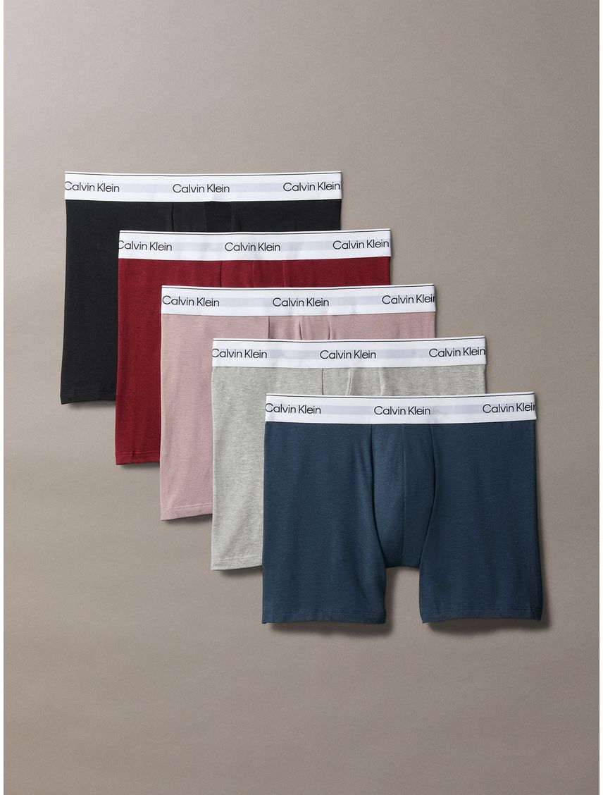 Pack de 5 bóxers brief - modern cotton holiday