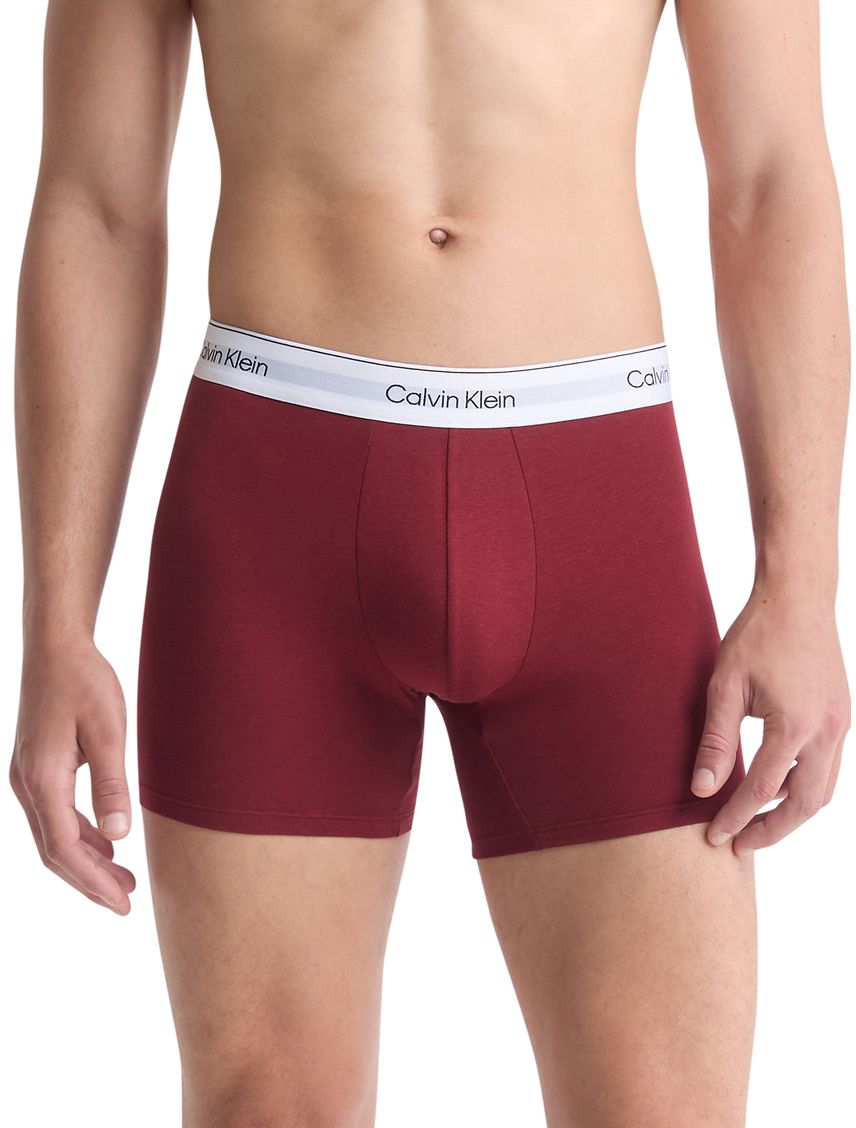 Pack de 5 bóxers brief - modern cotton holiday