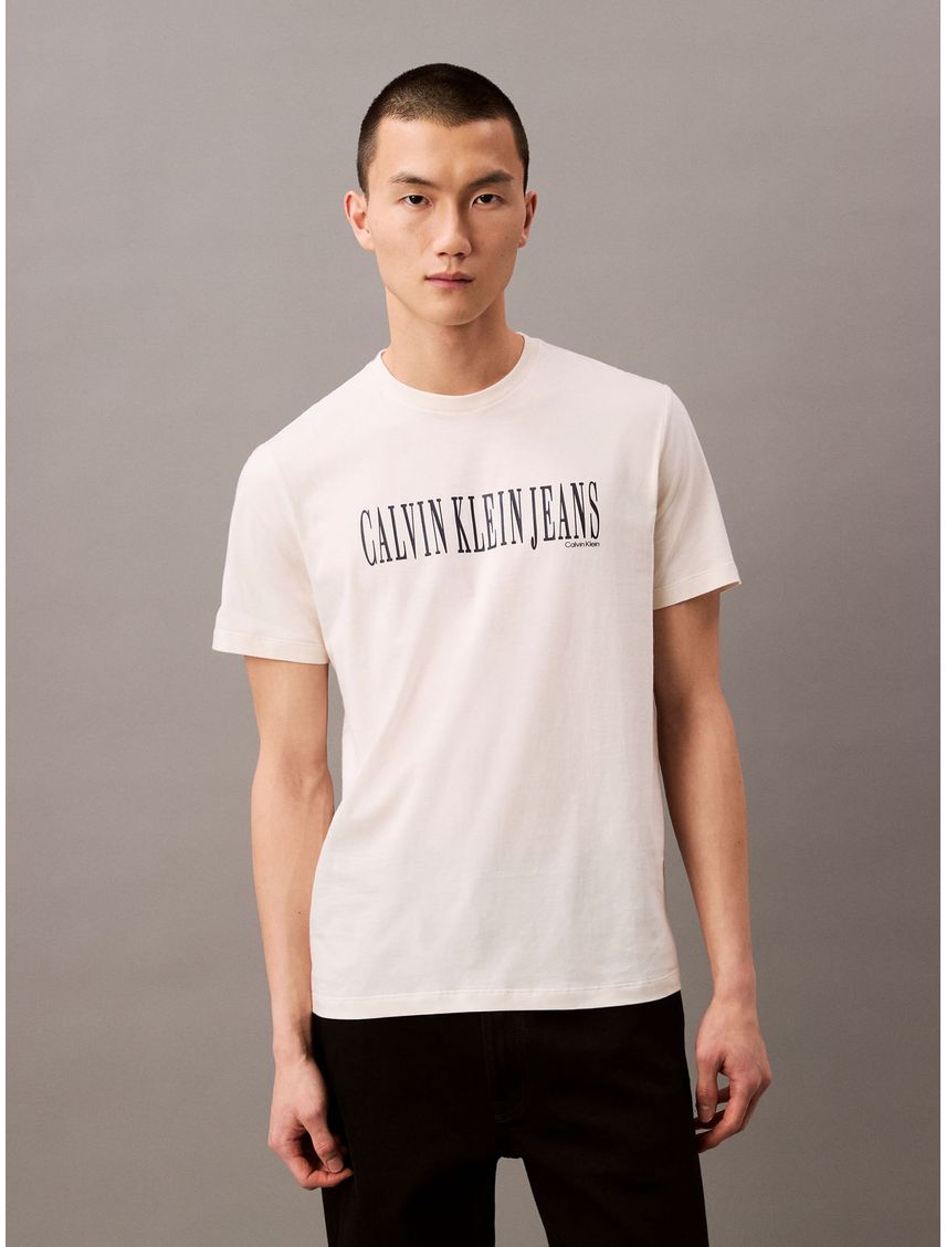 Remera Stretch Graphic Crewneck Regular Fit