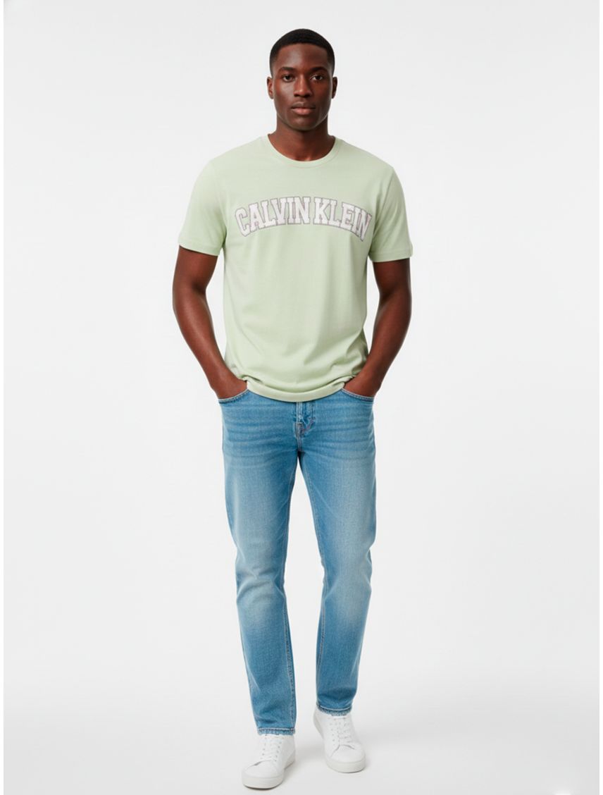 Remera logo curve varsity